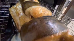 Зубатка горячего копчения