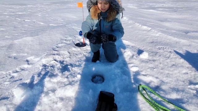 КАК МЫ ЭТО ВСЕ НАЛОВИЛИ?! БЕШЕНЫЙ КЛЕВ ЩУКИ! КЛЮЁТ НА ВСЕ ПОДРЯД! Рыбалка на жерлицы. смотреть онлайн