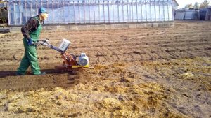 Электромотоблок на базе МБ-1 в работе.
