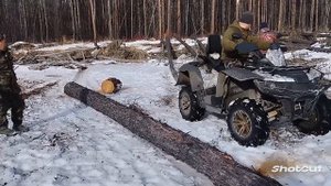 В тайгу за деловым лесом