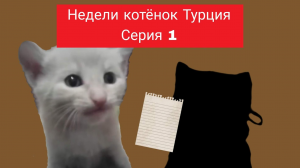 Недели котёнок Турция Серия 1