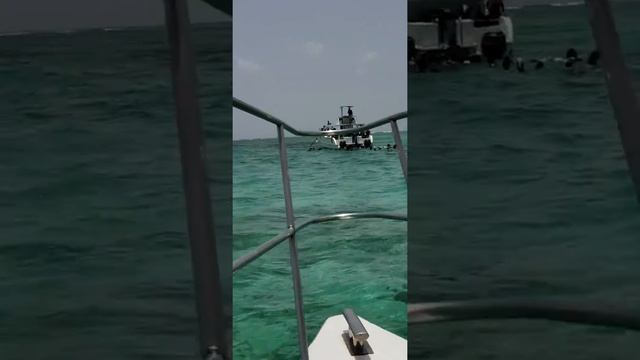 Catamaran Playa Bávaro Punta Cana смотреть онлайн