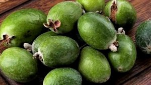 Плоды фейхоа полезны для профилактики и лечения...Химический состав плода фейхоа.
