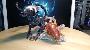 Trophy chase! Neca Night Cougar Alien & Panther Alien Kenner Tribute Review.