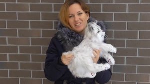 Белая рысь игрушка