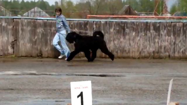 Хвостатый. Томск. Гроза. смотреть онлайн