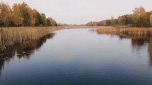 Перед рыбалкой кладу эту траву в червей. Как подготовить червя для рыбалки?