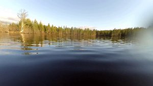 Большое путешествие маленького FPV Катера