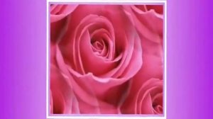 Виталий Айтян-Розовые розы (Ремикс)