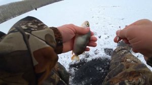 Зимняя рыбалка 2019.Балансир лаки джон нордик в деле и не только!