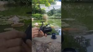 Карповая катушка с бейтранером Shark ID 9000