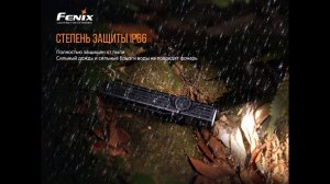 Краш тест Fenix WT25R