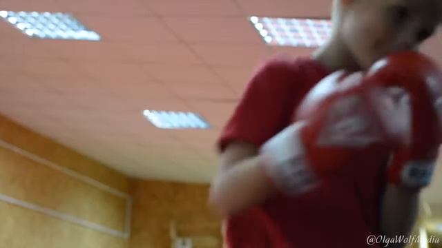 Детский бокс смотреть онлайн