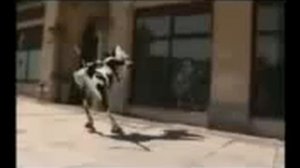КАРОВЫ УСЛЫШАЛИ ЭТУ ПЕСНЮ!!!