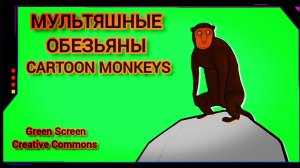 Обезьяны видео Green Screen футаж. Хромакей анимация на зелёном фоне.