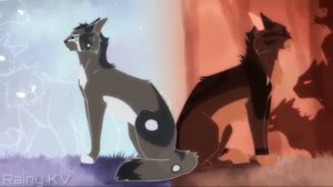 Коты воители - Заново ~  //клип//