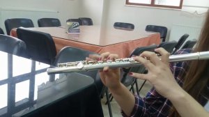 Çanakkale Türküsü - Yan Flüt - Yamaha YFL-211 | Flute