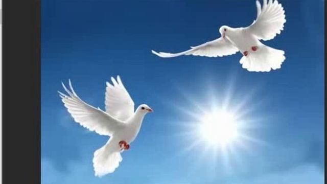 БЛАГОДАТЬ..., Слова и муз. и исп. Самуил Фрумович #СамуилФрумович.wmv