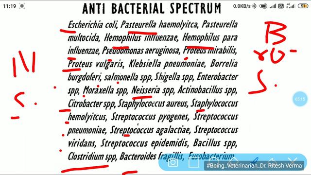 Ceftriaxone antibiotic  mechanism of action  Dose rate for dogs  large animals  detailed info