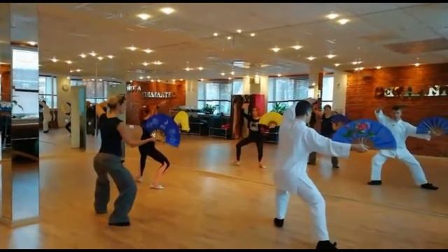 Dr.Loder - тайчи стиля Ян смотреть онлайн