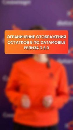 Ограничение отображения остатков товаров в ПО DataMobile релиза 3.5.0