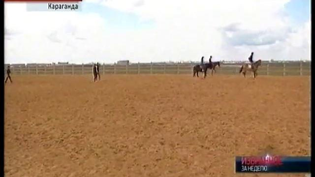 Казахстанцы покупают лошадей стоимостью в 100 тысяч долларов смотреть онлайн