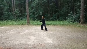 24 форма УШУ Тайцзи-Цюань