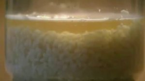 Исследования Масару Эмото - ВЛИЯНИЕ МЫСЛИ НА СТРУКТУРУ ВОДЫ