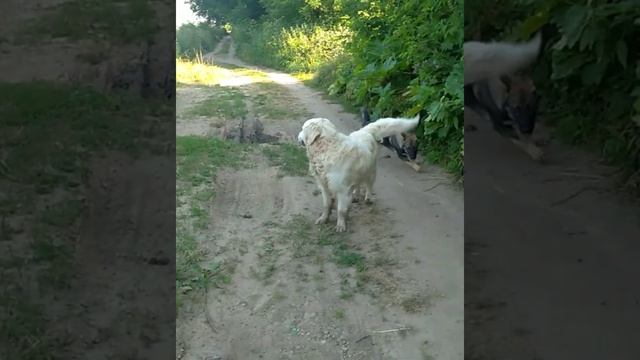 ВСТРЕЧА МУШКЕТËРА ПОРТОСА С Д'АРТАНЬЯНОМ / 13.07.2021