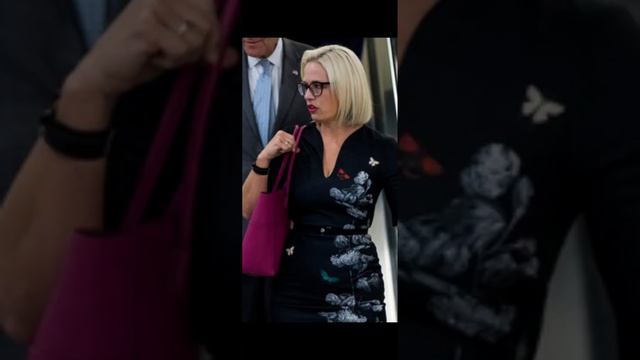 Kyrsten Sinema: Who dresses this THING?