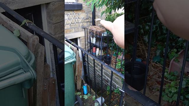 Chaotic Garden Update (2023) Feat. soft fruit & random-weave basketry смотреть онлайн