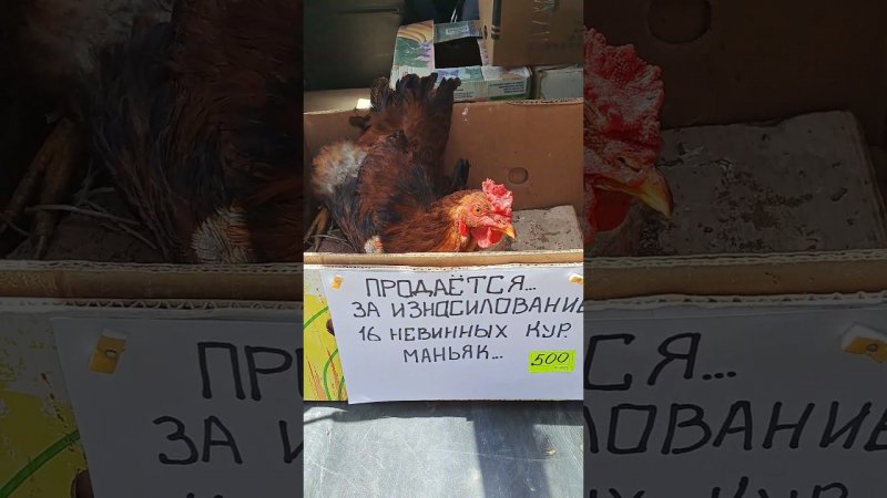 ЧУДЕСА МАРКЕТИНГА !!!