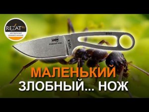 Нож скрытого ношения Izula ESEE - маленький злобный муравей в двух версиях | Обзор от Rezat.Ru