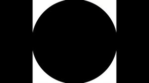 как росли мои волосы на протяжении 5 6 месяцев