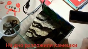 делаем аквариум для краба🦀