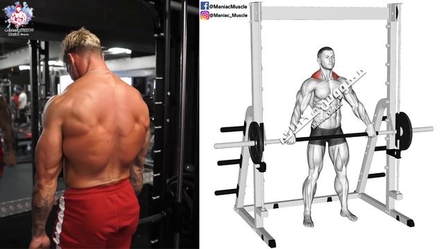6 BEST EXERCISE TRAPS WORKOUT ?