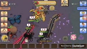 как оглушить своего муравья в покет энтс баг(уже не работает)