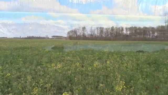 #Kassandraastrro ЧЕТЫРЕ ПОДСКАЗКИ ИЗ КУРЗЕМЕ. смотреть онлайн