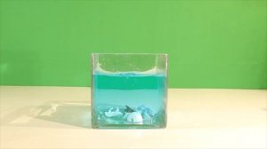 Фигурки животных Арктики и Антарктики 10шт, игровой набор для детей от 3 лет, дикие животные