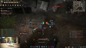 BDO - Tamer Awakening PVP #22 (1vX, Open World) SEA