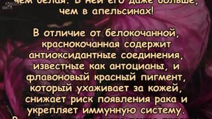 Пейте СОК КАПУСТЫ каждый день, чтобы ПОХУДЕТЬ, ВЫЛЕЧИТЬ ЯЗВУ, ГАСТРИТ, снизить ХОЛЕСТЕРИН