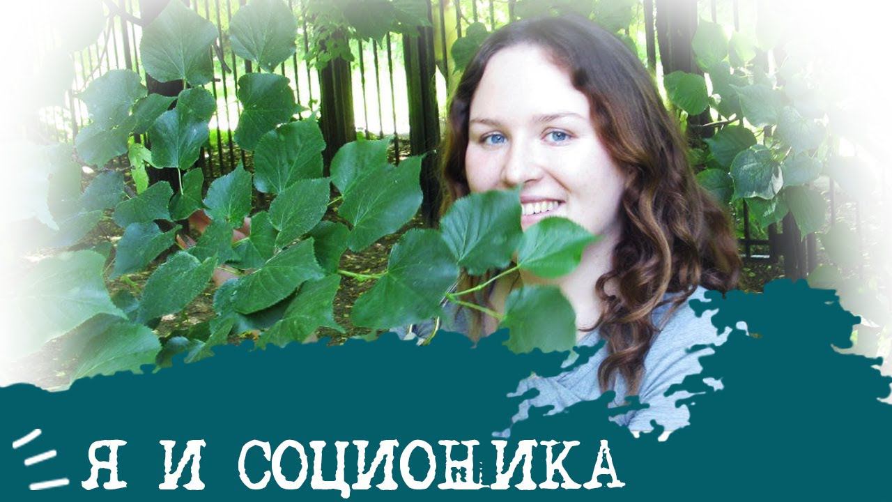 Как я ПРИШЛА в соционику