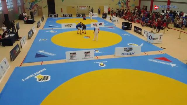 17.12.2022. Лига Самбо . отчётное видео смотреть онлайн