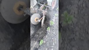 Окучивание картофеля дисками