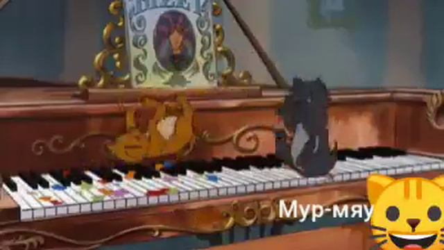 Клип кошечек красиво