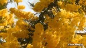 Уехав в командировку с любовницей, богатый муж не забрал жену из роддома… А когда сирота позвонила.