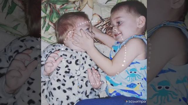 Поздравления любимому смотреть онлайн