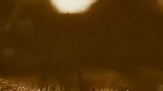 ДИКАЯ ДИВИЗИЯ 3.flv смотреть онлайн