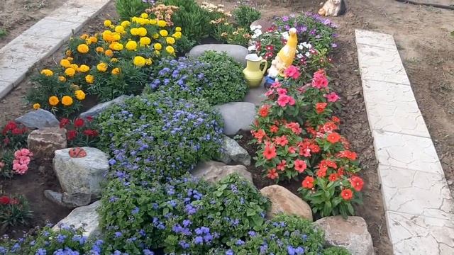 ЦВЕТЫ БУДУТ ЦВЕСТИ ВСЕ ЛЕТО ДО ЗИМЫ подкормка для пышного и обильного цветения смотреть онлайн