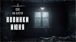 НОВИКИ ИЮНЯ